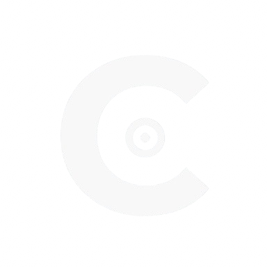 CamoStorage Logo